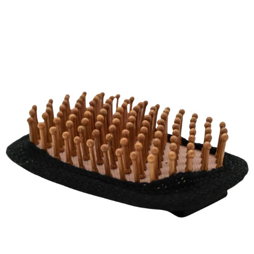 CTUG Hiker Hairbrush