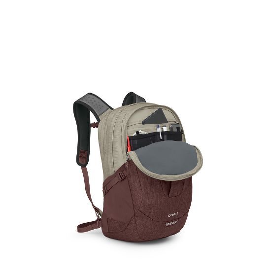 Osprey Comet 30L Daypack
