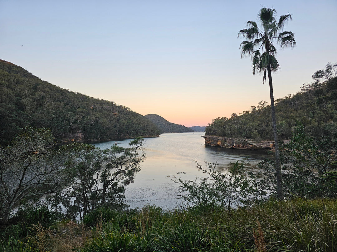 80km on a 2-day Great North Walk Section Hike | Trip Report