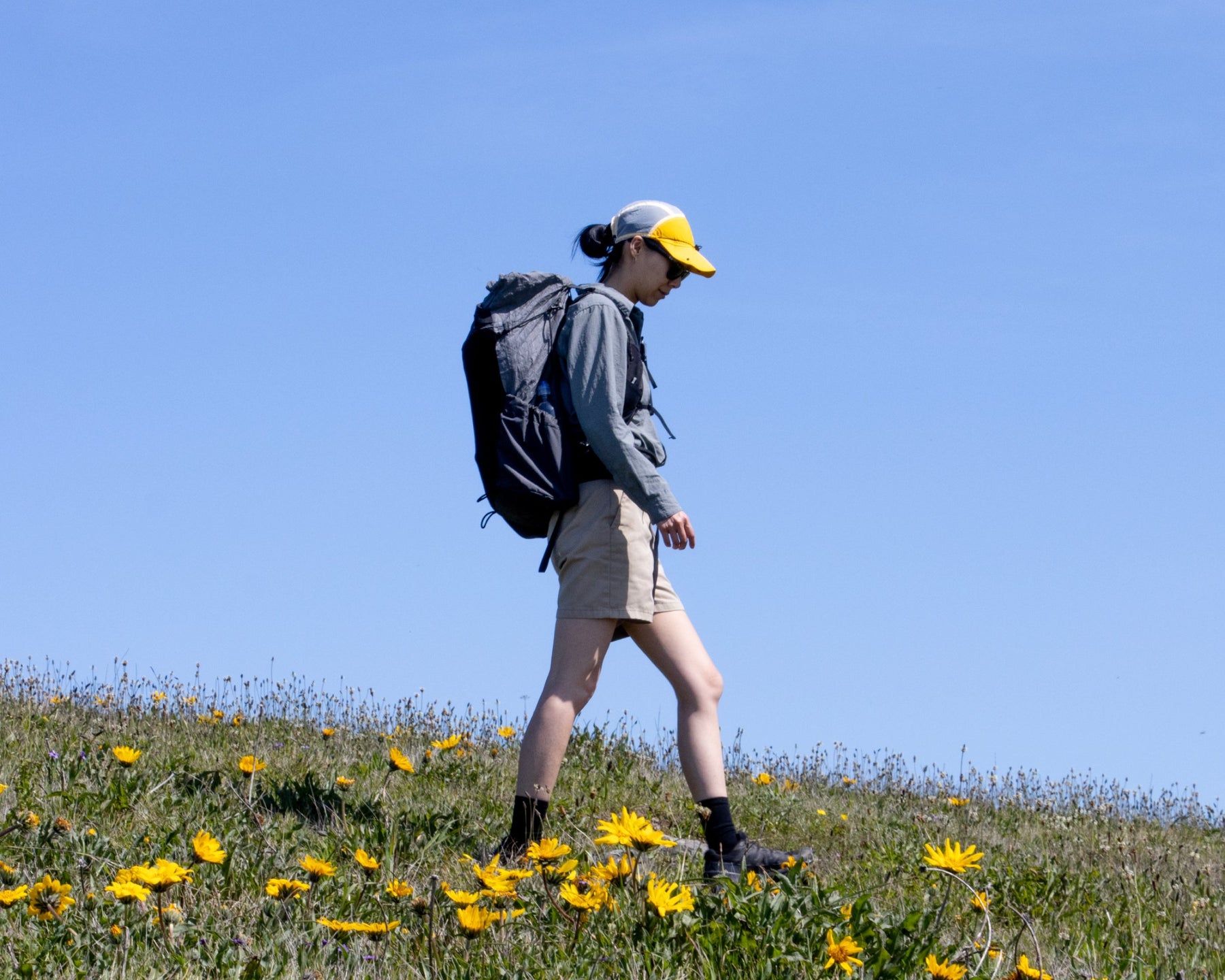 Parapack: Stripping Adventure Down to the Essentials