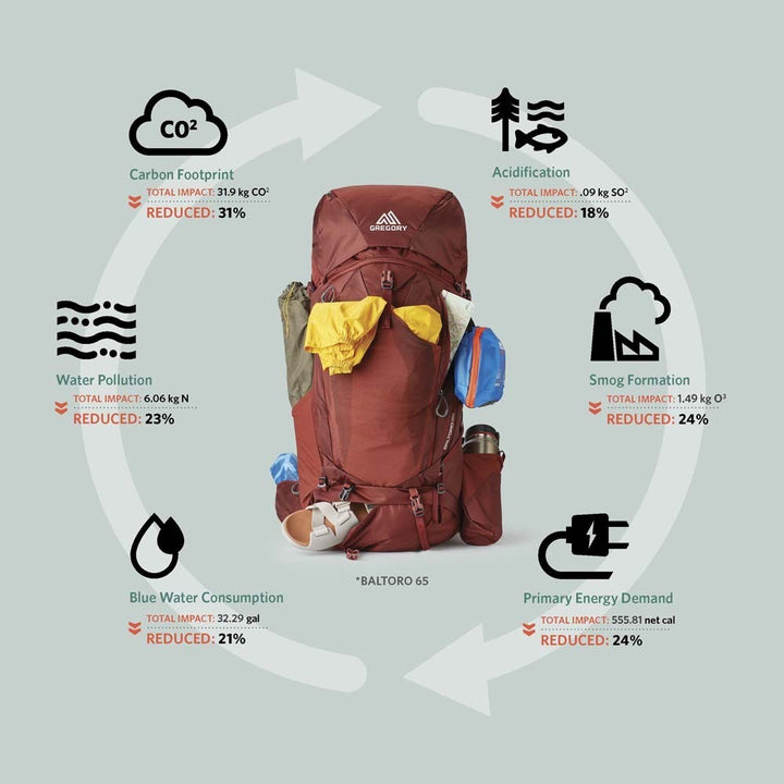 Gregory Baltoro 65 RC Men's Hiking Pack