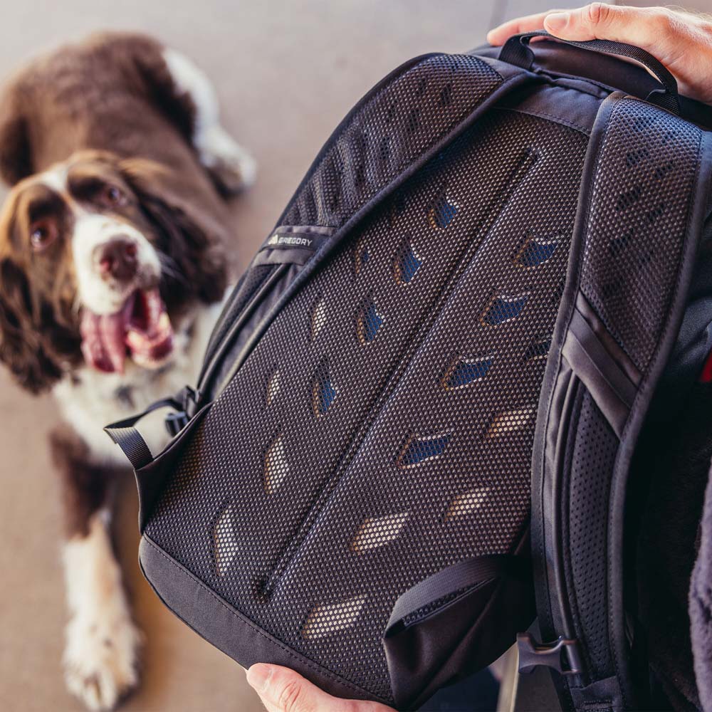 Gregory Nano 16 Daypack