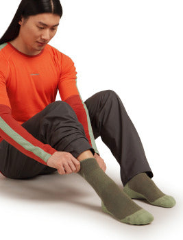 Icebreaker Merino Hike+ Medium Crew Socks Men's