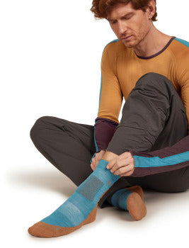 Icebreaker Merino Hike+ Medium Crew Socks Men's
