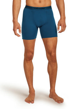 Icebreaker Merino 150 Anatomica Long Boxers Men's
