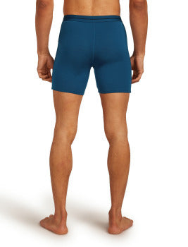Icebreaker Merino 150 Anatomica Long Boxers Men's