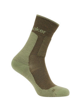 Icebreaker Merino Hike+ Medium Crew Socks Men's