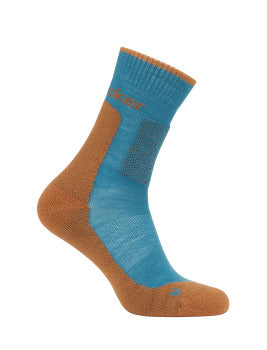 Icebreaker Merino Hike+ Medium Crew Socks Men's