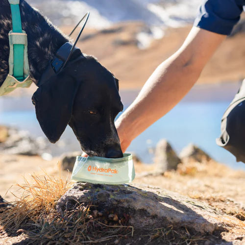 Hydrapak Rover Dog Bowl