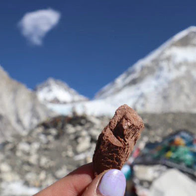 Campers Pantry Chocolate Freeze Dried Ice Cream