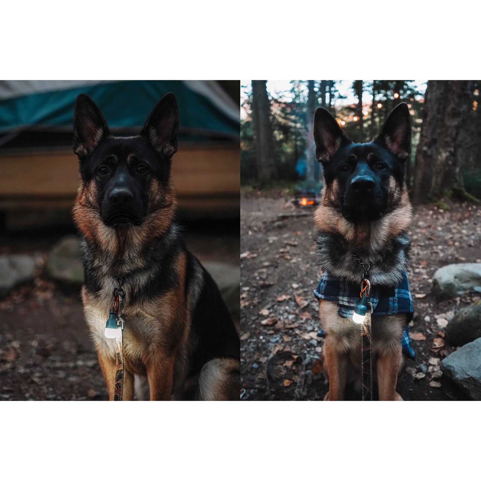 Site Lights