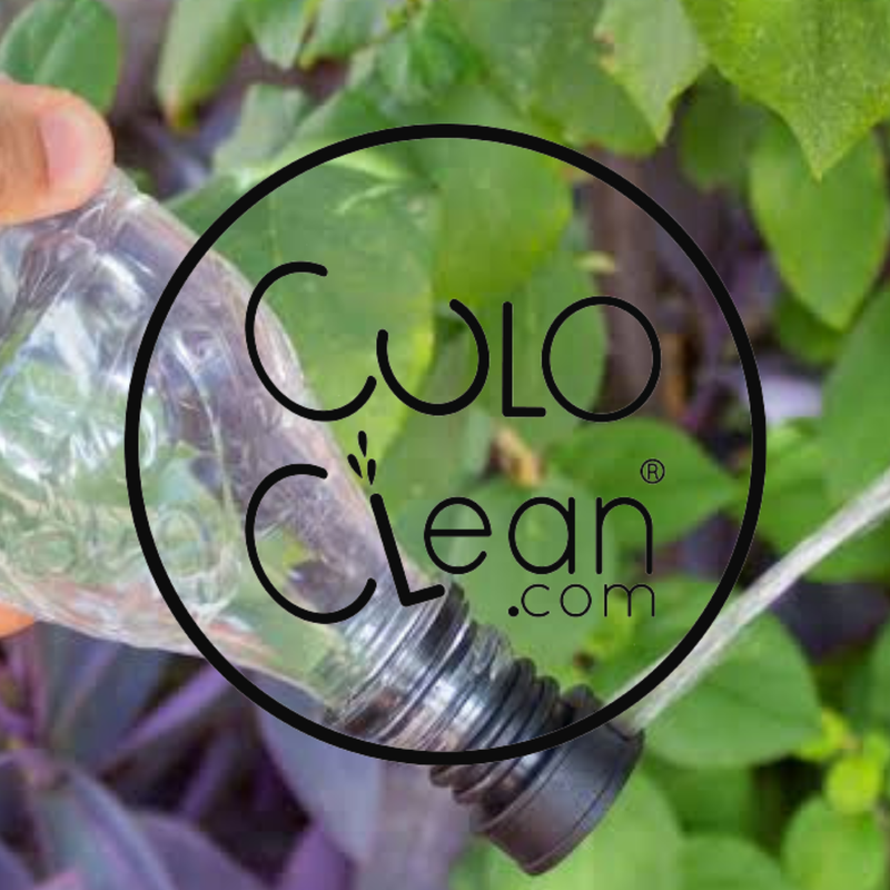 CuloClean