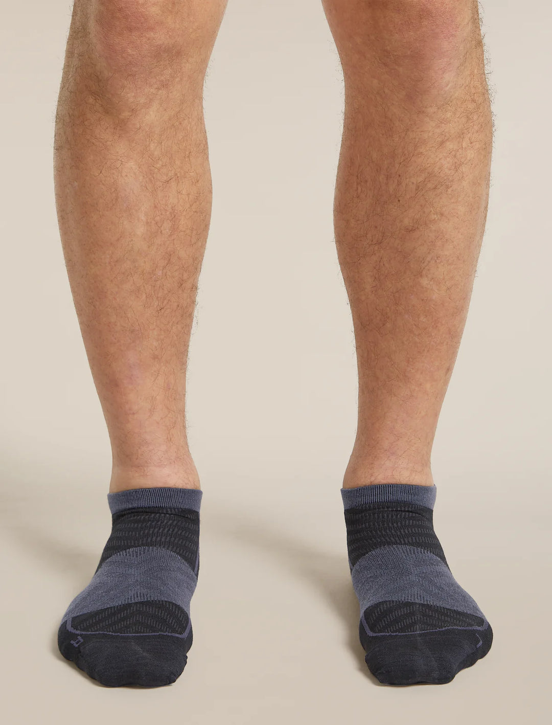 Icebreaker Merino Blend Run+ Ultralight Micro Socks Men's