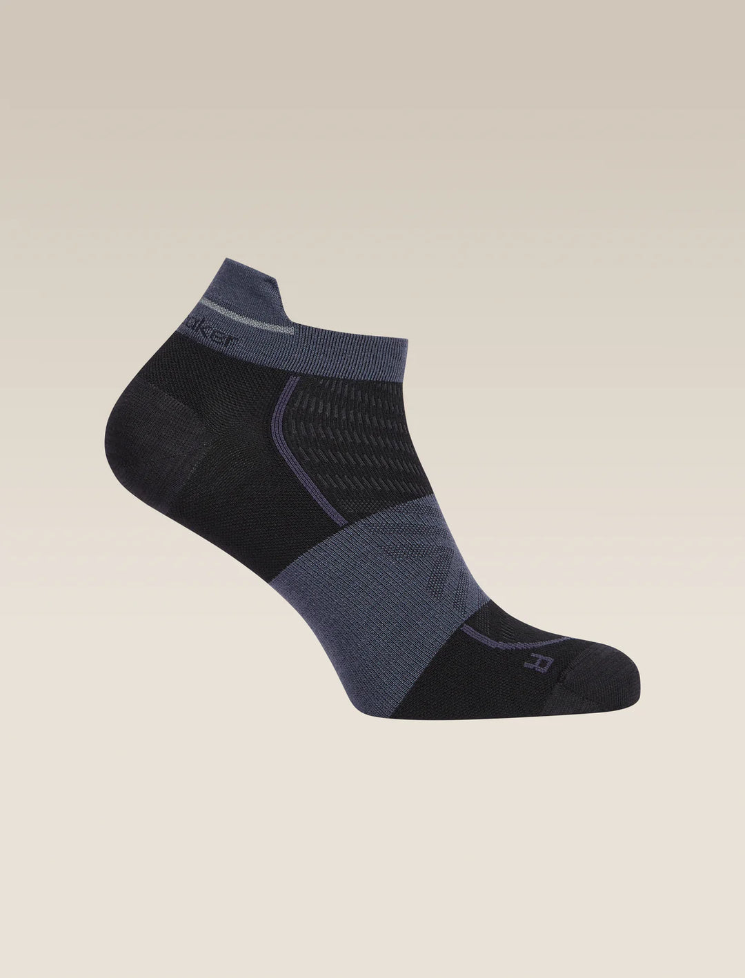 Icebreaker Merino Blend Run+ Ultralight Micro Socks Men's