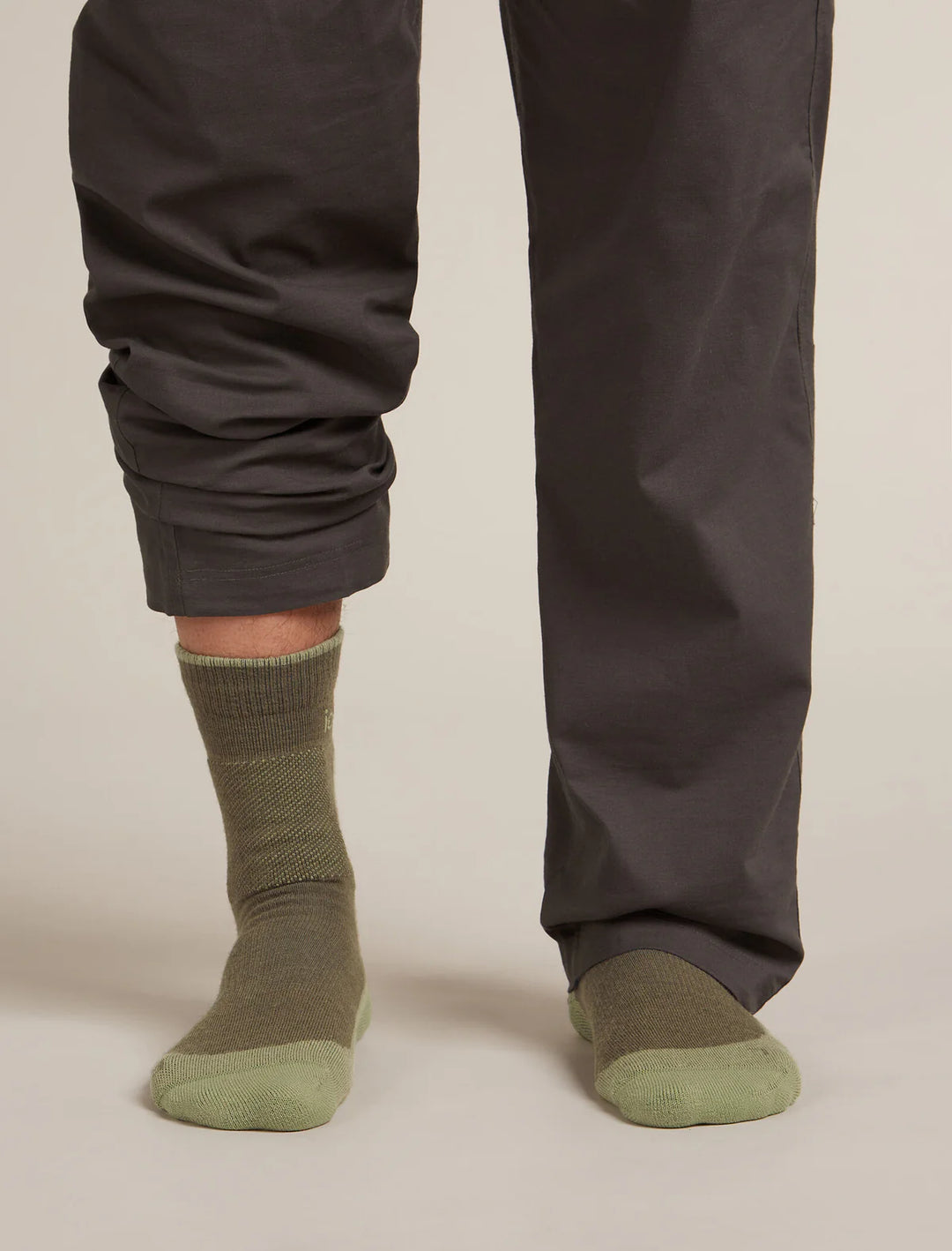 Icebreaker Merino Hike+ Medium Crew Socks Men's