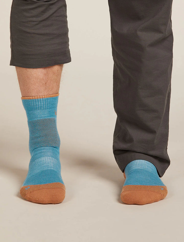 Icebreaker Merino Hike+ Medium Crew Socks Men's