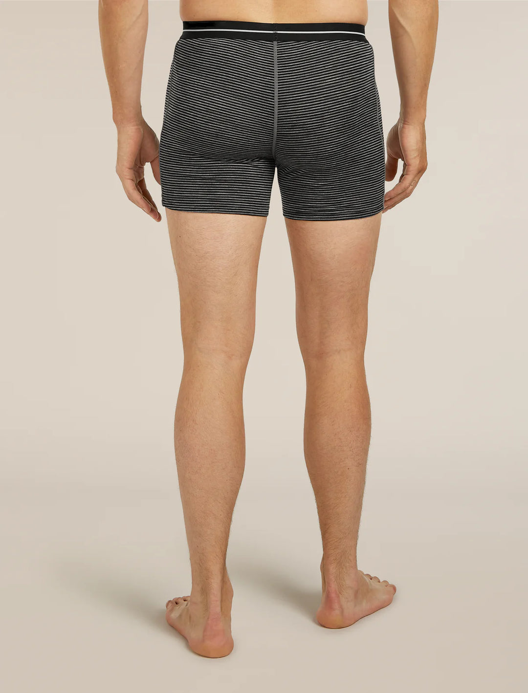 Icebreaker Men's Merino 150 Anatomica Boxers