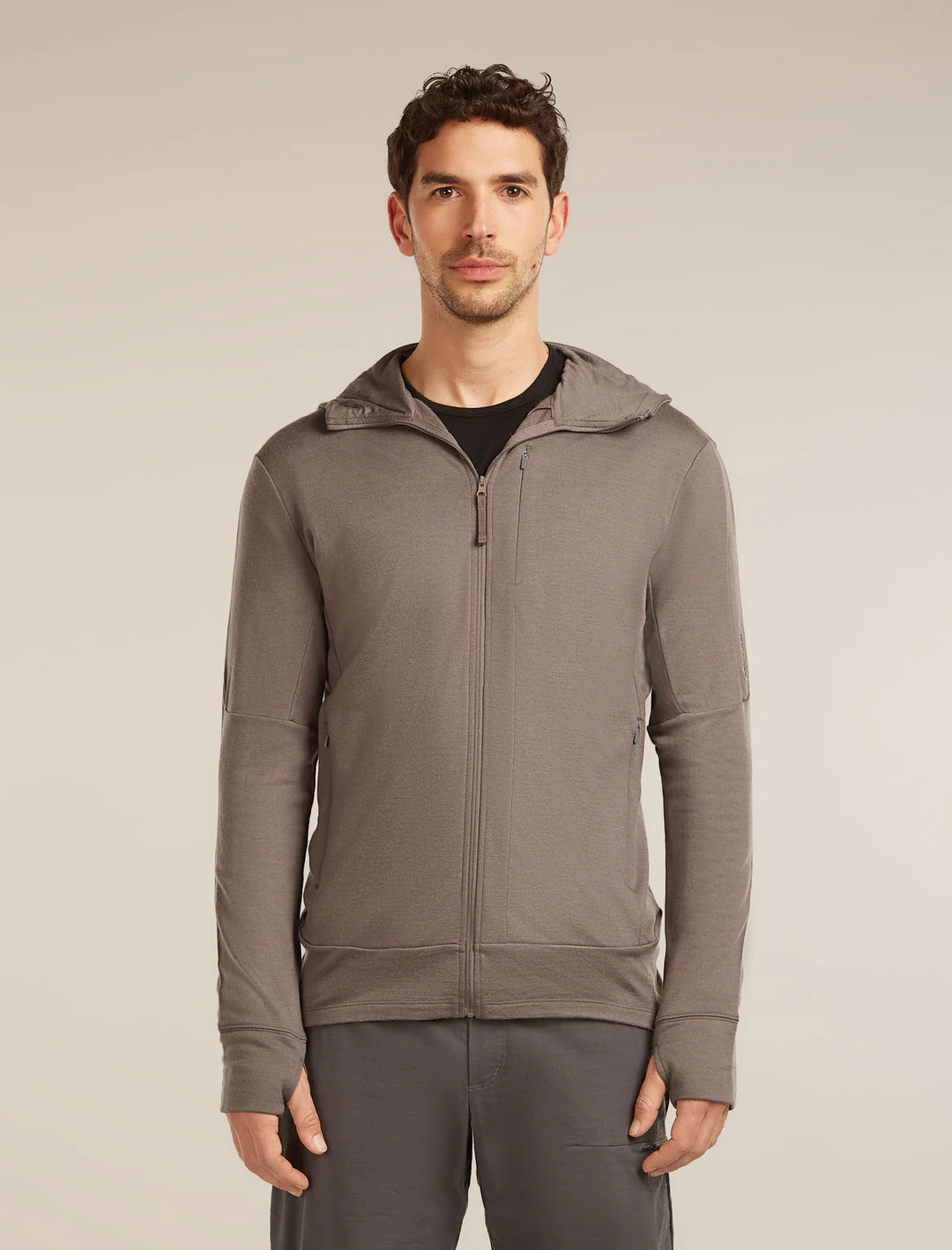 Icebreaker Men's Merino 260 Quantum Long Sleeve Zip Hoodie