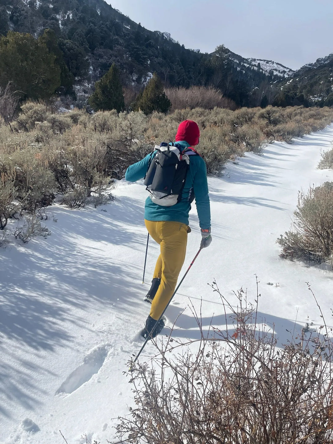UltrAspire Purist Fastpack 22L