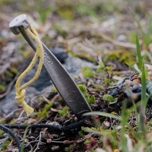 Teragon Gear Torque Titanium Tent Stake