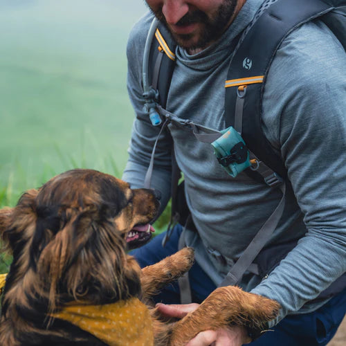 Hydrapak Rover Dog Bowl