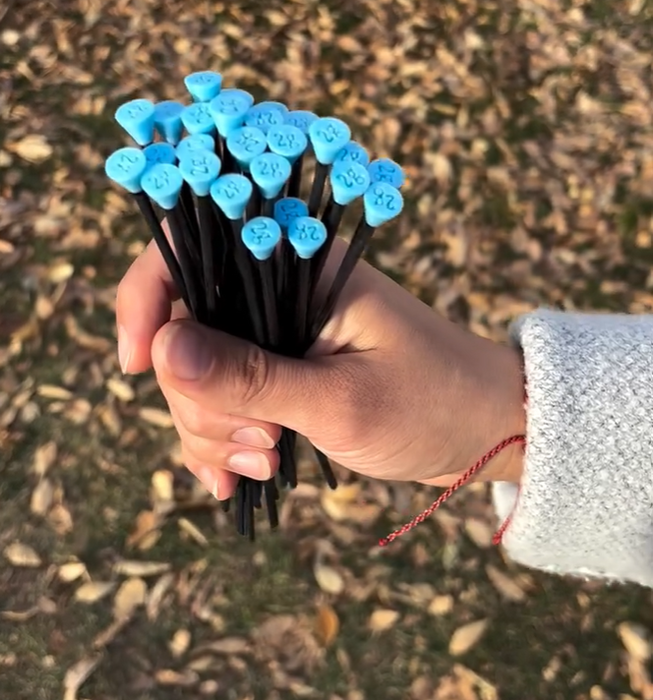 Pachallama 2g Tent Stakes (10pk)