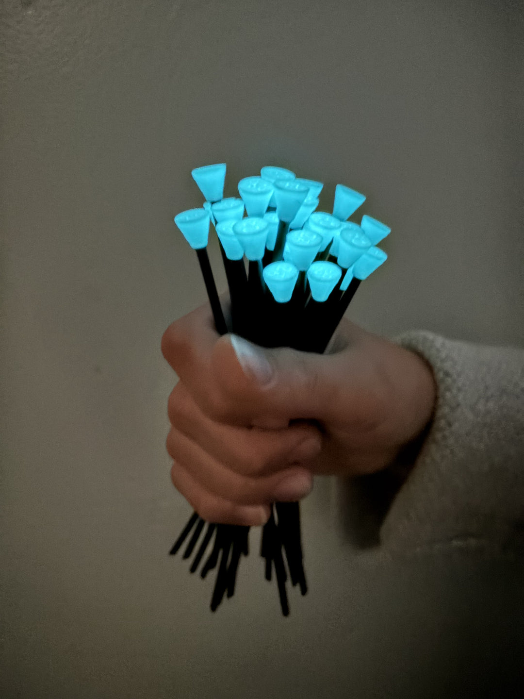 Pachallama 2g Tent Stakes (10pk)