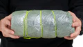 Zpacks Plex Solo Ultralight Trekking Pole Tent